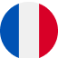 france_lang_icon